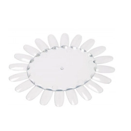 TNL, Палитра ромашка прозрачная